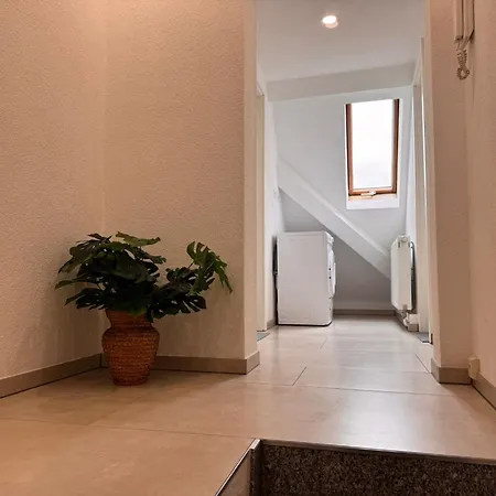 Traumhaft Modernes Mit Doppelbett,,,,gemeinschaftsbad Und Wc In 78554 アパート *