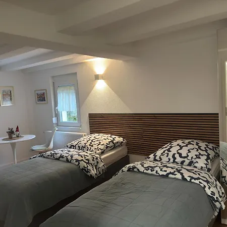 アパート Traumhaft Modernes Mit Doppelbett,,,,gemeinschaftsbad Und Wc In 78554 Aldingen
