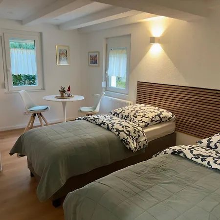 Traumhaft Modernes Mit Doppelbett,,,,gemeinschaftsbad Und Wc In 78554 アパート Aldingen